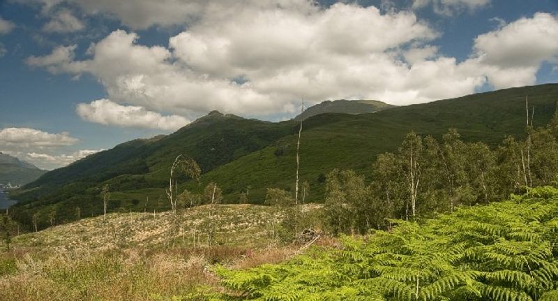 Ben Lomond